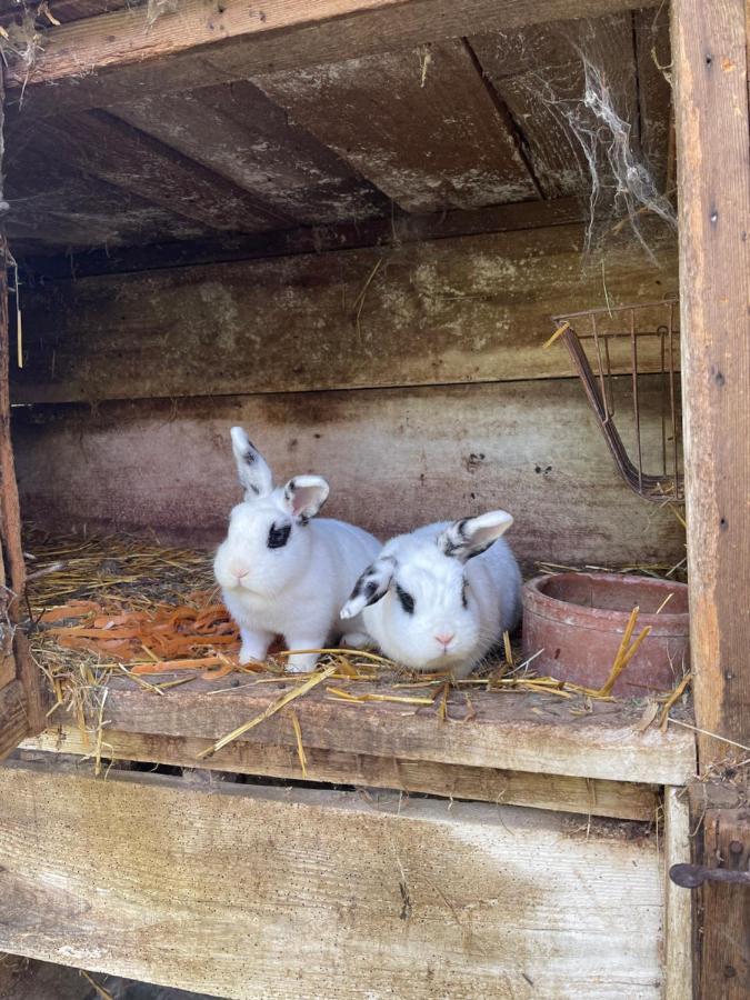 La Ferme De Marie Leilighet Rangen Eksteriør bilde